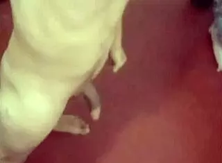 compilation of my amateur masturbation massage photo moments