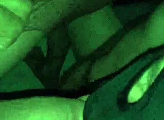 guy eagerly sucks massive shemale cock deep