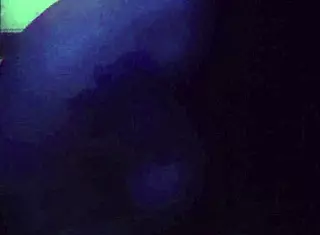 Tattooed Babe Rips Clothes for Hot Shower Strip