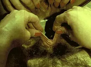 vintage pregnant lesbians finger hairy beavers in secret