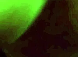 hey taste hannah harper's shaved pussy i'm licking it now