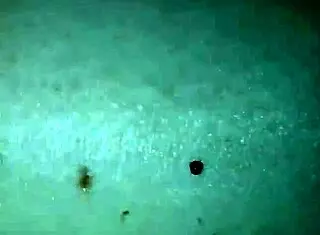 Amateur Anal Gaping Spreads Wide!