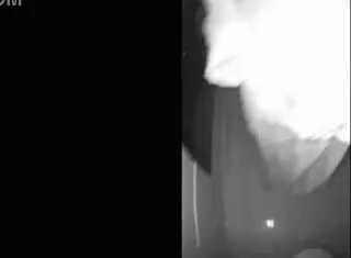 hey wife, why cheat with friend in kitchen anal?