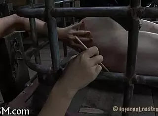 check out this wild bizarre sadomasochism action...