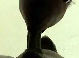 he kept cumming but i sucked every drop from his huge load!