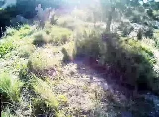 Sucks Cocks Like Asparagus