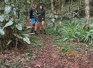 stepsister goes to forest for rough fuck and cum on huge tits