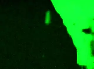 whats my fat wife sucking off that stranger for?