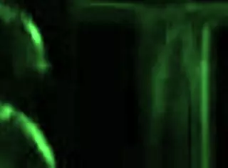 Kringe Gets First Time Anal Gaping Rimjob And Face Fuck In Kitchen