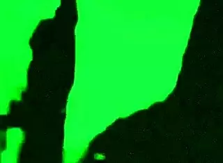 whats my fat wife sucking off that stranger for?