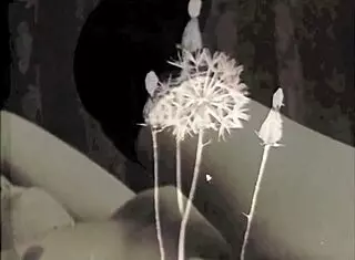 vintage granny milf hairy pussy fucked in retro antique hardcore scene