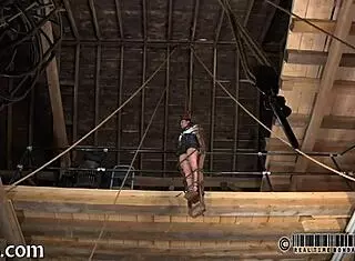 guy collars his naughty sweetheart in lusty play session