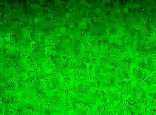 whats my fat wife sucking off that stranger for?