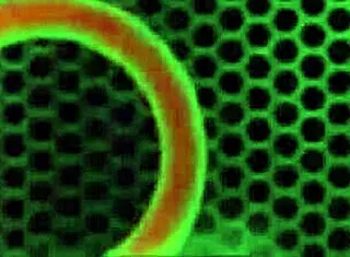 glasses lesbian ava austen milf bbw licks fat tits pussy cunilingus muff diving sex