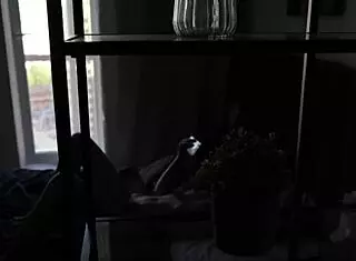 i took her home after class for quick college fuck