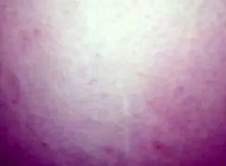 Big Dick Gapes Terri's Hairy Wife Pussy Wide