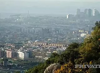 Big Titty Maid Misha Maver's Shaved Pussy Drilled Deep by Massive BBC in Private