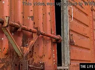 wild teen fingers her hairy pussy and big nipples in abandoned rail car!