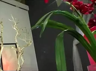 Sexy Redhead Strips Takes Baseball Bat Anal Then Double Penetration