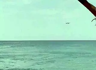 Monika Fox Stuns in Starry Pink Bikini Posing on Beach