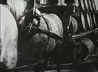 Vintage Erotic Drawings Collection Uncovered