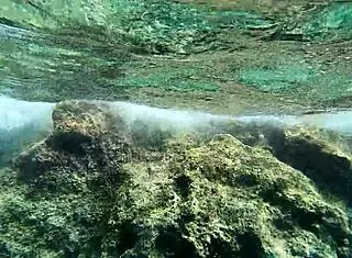 damn this hot milf underwater pussy ride got me so fuckin wet already