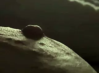 Plump tits closeup nipple pinch tease