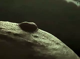 Plump tits closeup nipple pinch tease