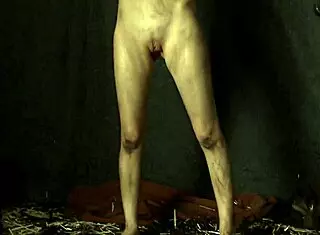 Chained Beauty in Cosplay Teases Her Shaved Pussy Fantasy