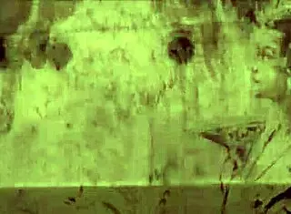 Vintage Erotic Cartoons Showcase Retro Antique Passions