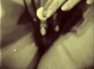 Vintage Erotic Cartoons Showcase Retro Antique Passions