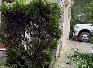 Hey, check out nakedman15 tending his garden completely naked!