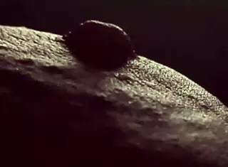 Plump tits closeup nipple pinch tease