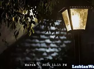 lesbian babes take turns licking each other's wet pussies in storyline