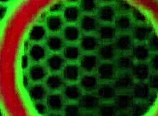 Insatiable Italian nympho throws wild BBC party in Rome