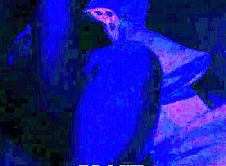 he laps my pussy till squirting orgasm floods his hungry mouth