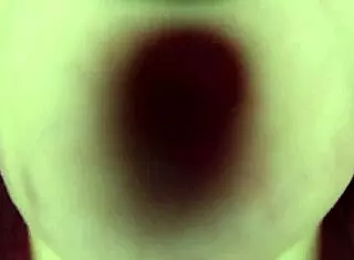 close up tongue dives deep into wet pussy lips clit