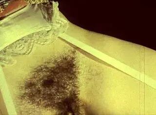 DARK LANTERN VINTAGE INTERRACIAL EROTIC CONFESSIONS GENTLEMAN