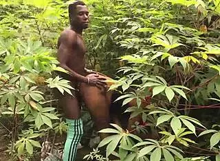 farmers in nigeria knacking wet latina pussy with big black cock creampie moans
