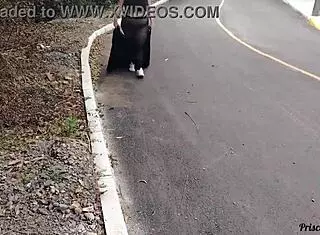 Priscila Novinha See-Through Skirt No Panties Flashing Big Tits Streets