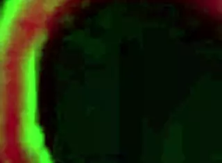 carmen valentina facialized by rome major interracial big cock pounding