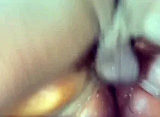 open my ass for rough fucking now!