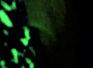 germayne flores roman cheating wife puebla las animas exposed?