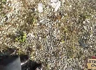 spying teen nadia capri hitchhiker pov public cock ride...