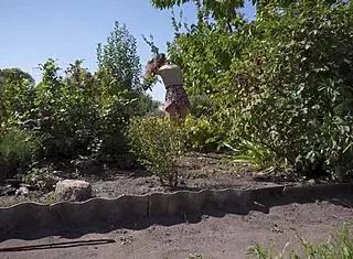 hot neighbor upskirt flashing thong in garden spy cam