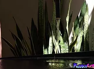 shy asian kj carter strips naked and bares petite shaved pussy!