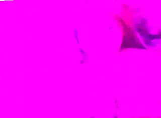 damn i catch my stepmom and slam my huge cock in her