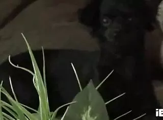 tyla, wanna bang this horny cougar's shaved pussy in shower?