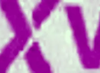 imagine this hot 18+ teen next door giving pov outdoor blowjob cumshot in pantyhose