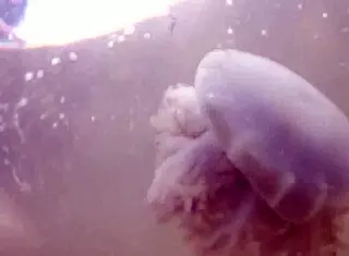 busty boat flashing outdoor tits tease